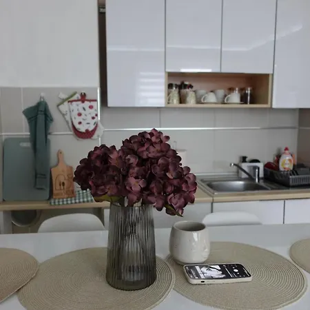 Stan U Centru Nisa, Obilicev Venac Lägenhet