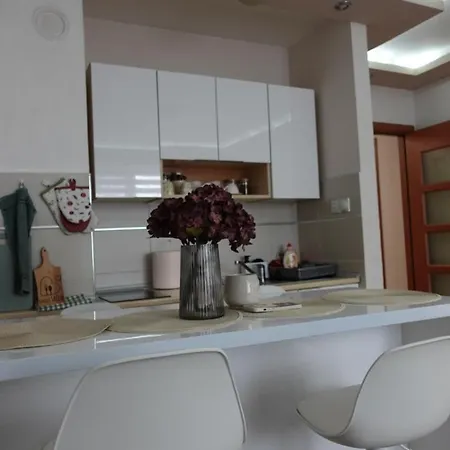 Stan U Centru Nisa, Obilicev Venac Ni