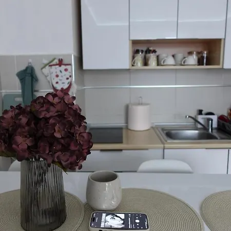 Stan U Centru Nisa, Obilicev Venac * Ni